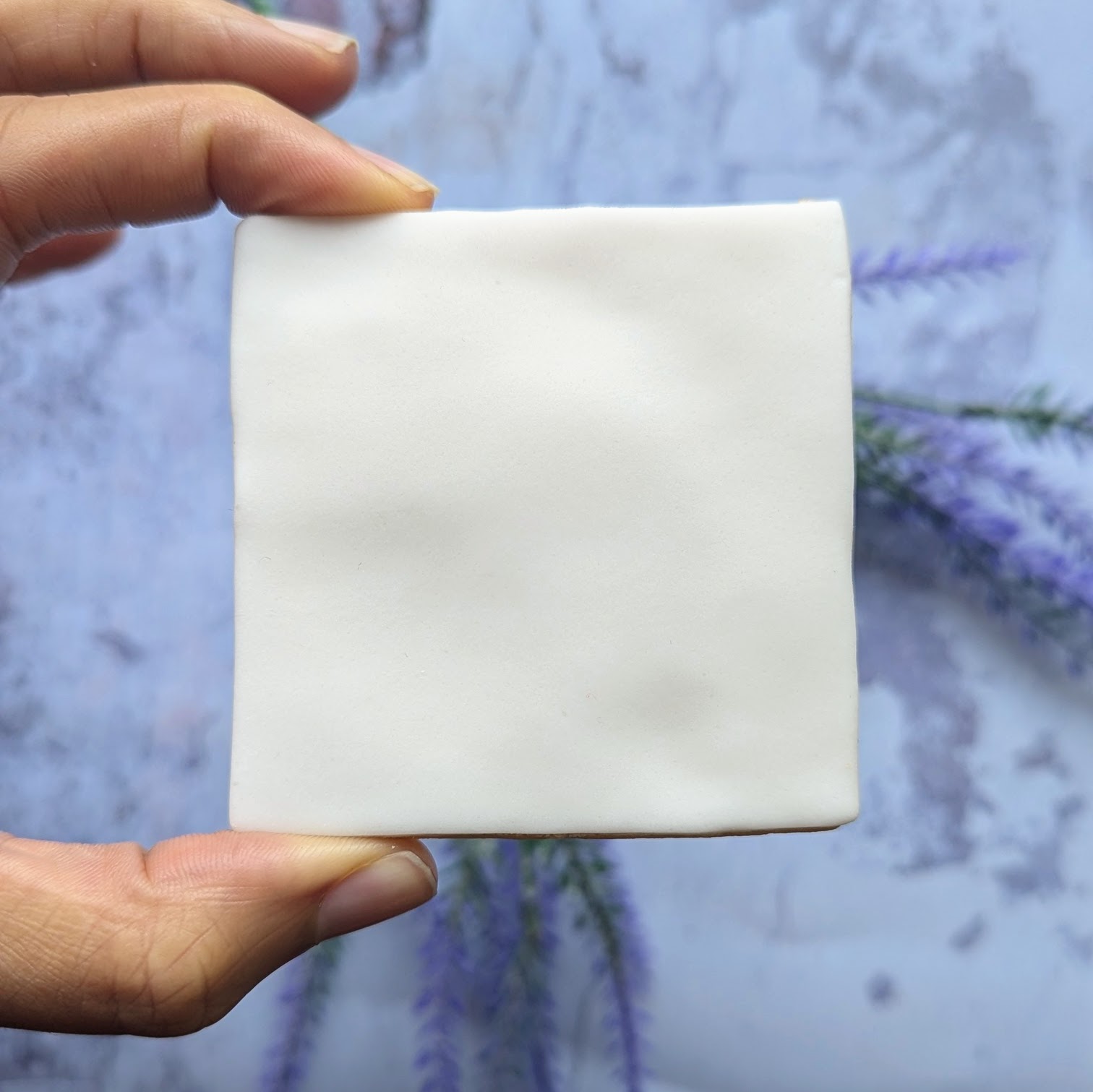 Square Rice Paper printed Biscuit